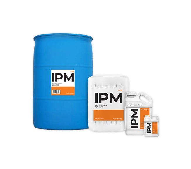Athena IPM