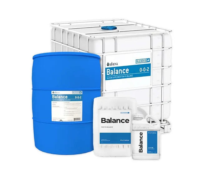 Athena Balance