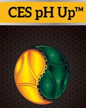 CES pH Up