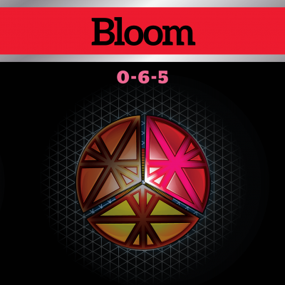 CES Bloom 0-6-5